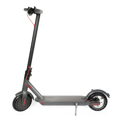Model ERS-001 Electric Scooter